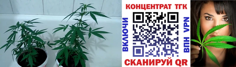 Купить  Ардатов  Дистиллят ТГК вейп с тгк 